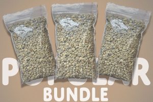 Popular-Bundle