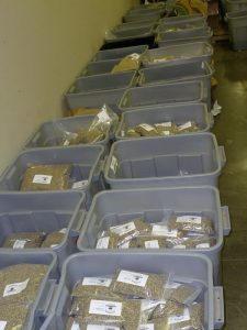 Many plastic bins lining a wall filled with bags of coffee beans