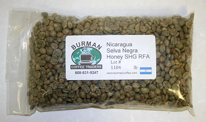 Nicaragua Matagalpa Selva Negra SHG RFA Honey coffee beans