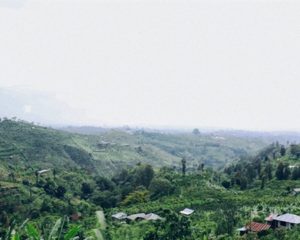 bali landscape