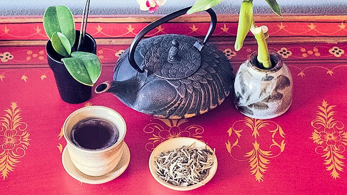 teapot, teacups, and accessories on a table with plants
