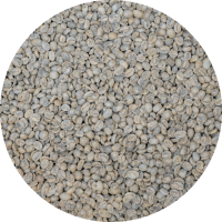 Nicaraguan RFA Selva Negra – Washed Processed