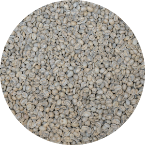Nicaraguan RFA Selva Negra – Washed Processed