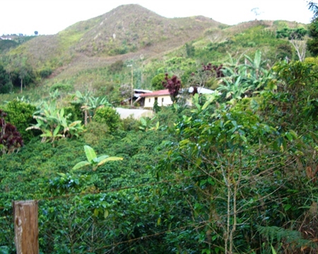 Huila, Colombia landscape