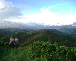 Two people riding horses on coffee estate in Huila, Colombia