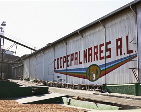 coopepalmares warehouse