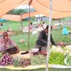 people under tents selling vegetables at outdoor mysore market