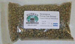 Nicaragua FInca Las Brisas Pulped Natural Masellesa coffee beans