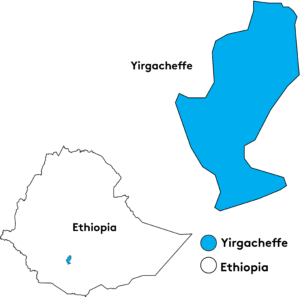yirgacheffe, ethiopia