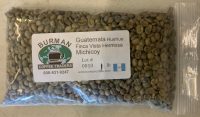 raw coffee beans guatemala fvh michicoy