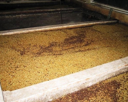 Large concrete bins with drying coffee beans