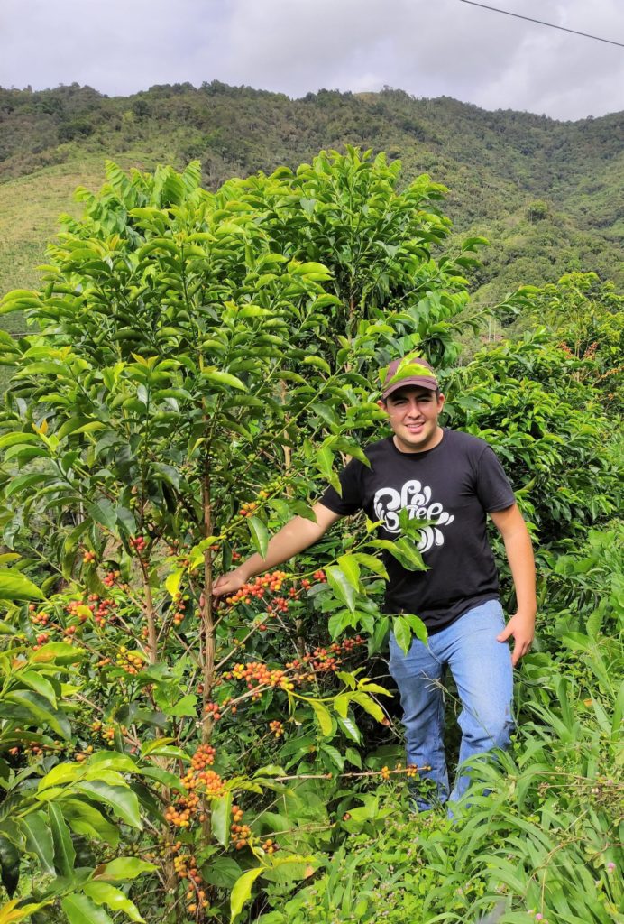acevedo farmer and coffee tree