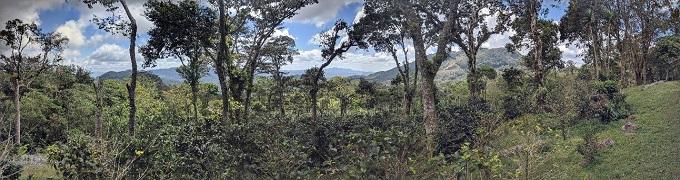 beautiful views of mountains, Nicaragua Selva Negra coffee estate