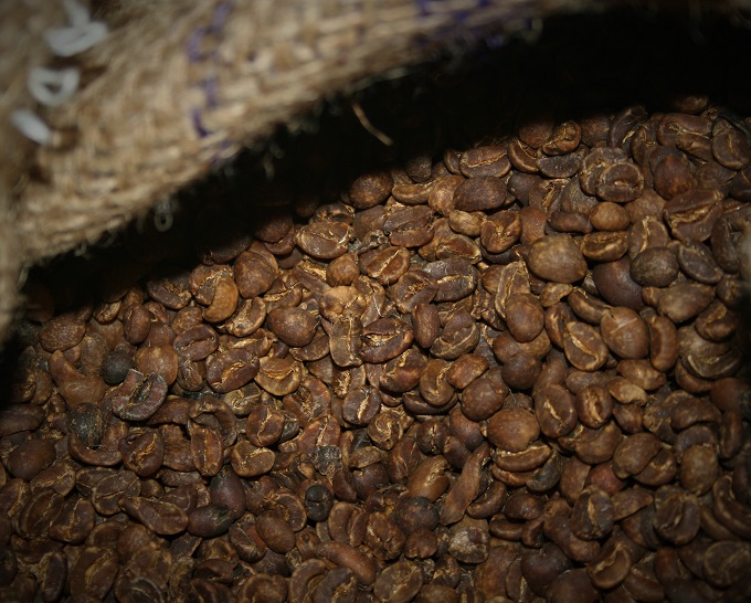 mountain water process decaf beans