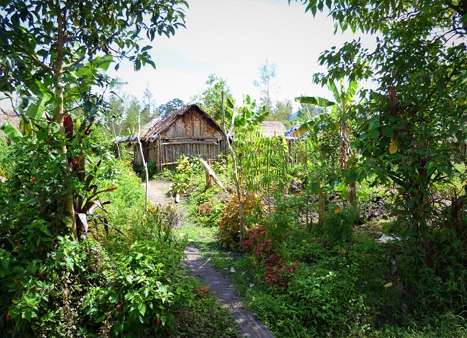 Homes and gardens at Sigri Coffee Estate in Papuea New Guinea