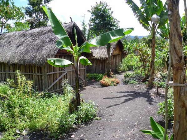 Sigri houses in Papua New Guinea