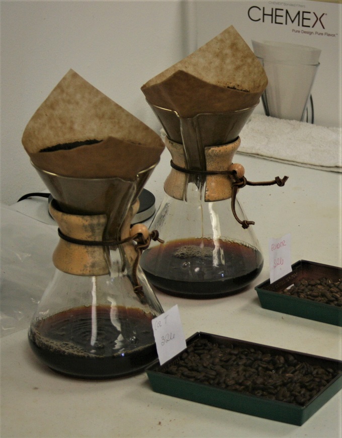 chemex coffee brewers