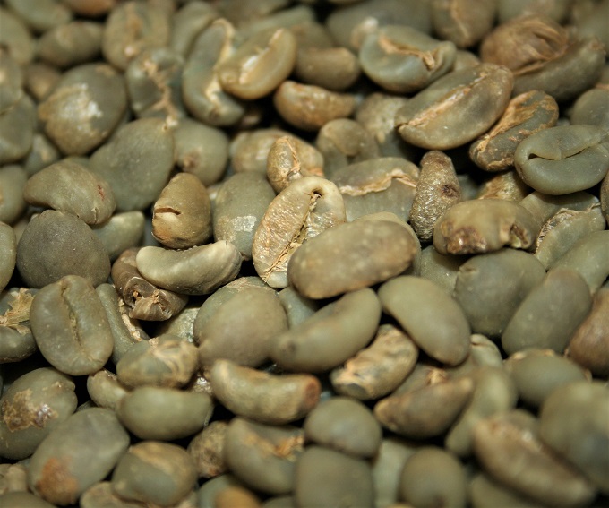 green coffee beans