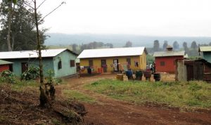 Front buildings of the Edelweiss coffee estate in Tanzania