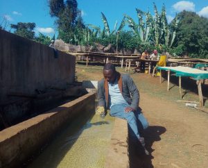 Man scooping coffee beans from a basin full of water at Hartume