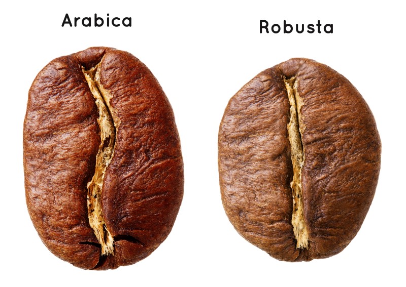 Comparing Arabica and Robusta Coffee Beans while Home Roasting