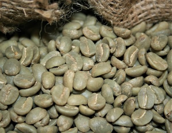 Green coffee beans before they are home roasted