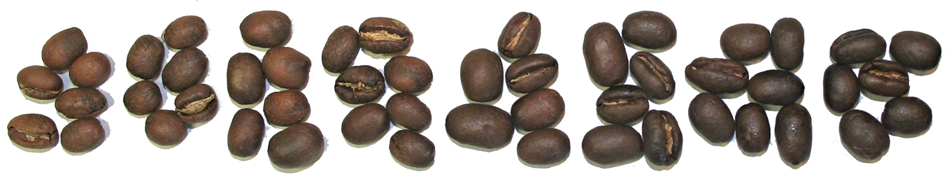 Different medium coffee roast levels