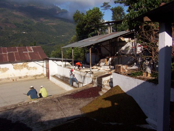 People working at the Vista Hermosa wet mill and drying patio in Guatemala