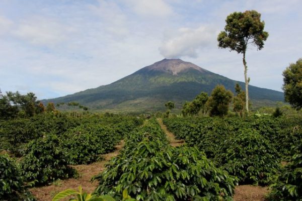 kerinci volcano in Indonesian Sumatra