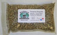 Panama Boquete Damarli Finca Stacy Caturra Natural coffee beans