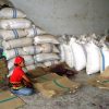 Worker sitting on floor among large filled and empty sacks of coffee beans at Takengon Warehouse