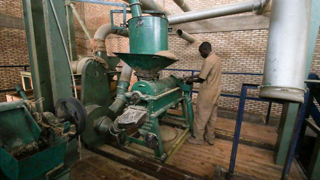 Worker using machinery to process coffee beans, Burundi