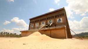 Pile of coffee beans or chaff outside Burundi processing facility