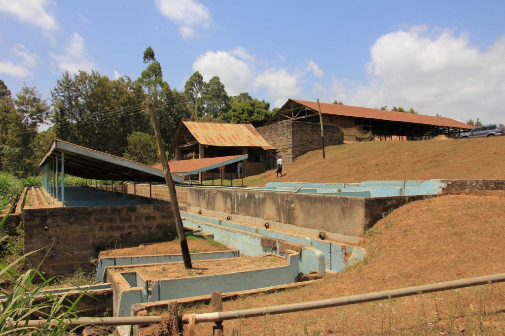 Coffee processing facilities in Kenya