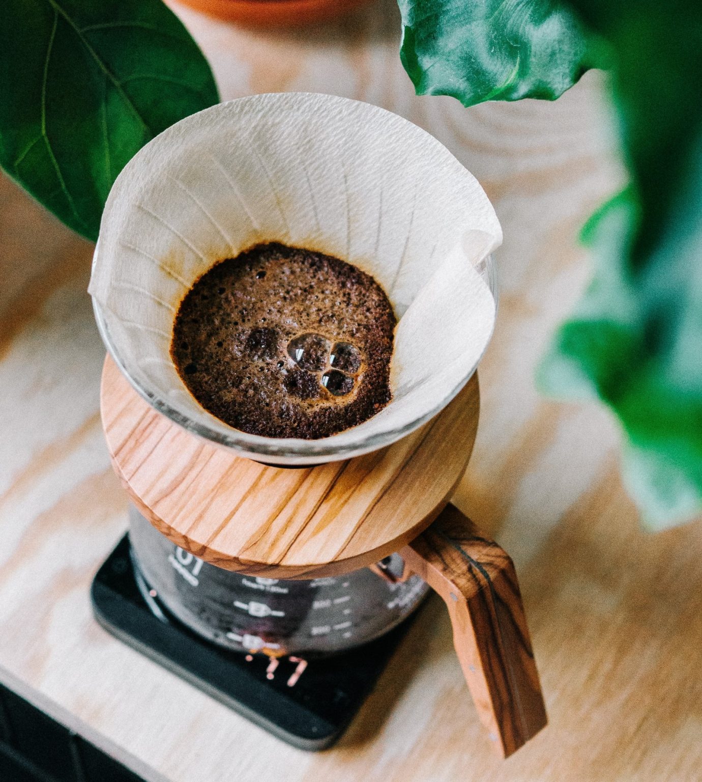 Degassing Coffee Definition, Importance, & Factors Burman Coffee