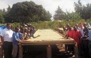 Workers posing with a coffee bean drying bed in Tanzania