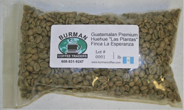 Guatemala Huehuetenango Las Plantas Finca La Esperanza coffee beans
