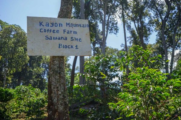 Sign nailed to a tree that says Kayon Mountain Coffee Farm Sawana Site Block 1