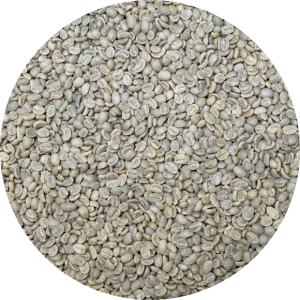 Colombia Premium Organic Cauca - Pearl Of Inza (GP)