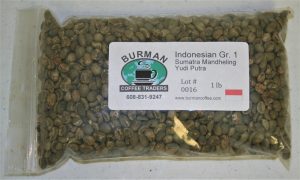 Indonesian Gr 1 Sumatra Mandheling Yudi Putra coffee beans