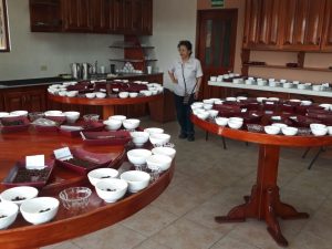 Tables with bowls of coffee bean samples