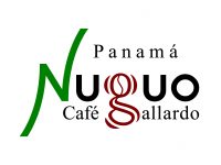 Panama Nuguo Cafe Gallardo