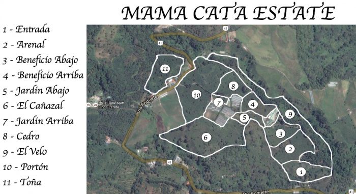 Map showing Mama Cata Estate