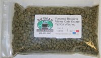 Panama Boquete Mama Cata Estate Typica Washed coffee beans