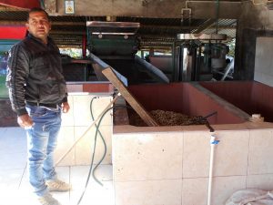 Man standing in a coffee processing facility
