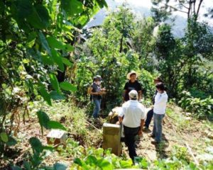 guatemala coffee farmers
