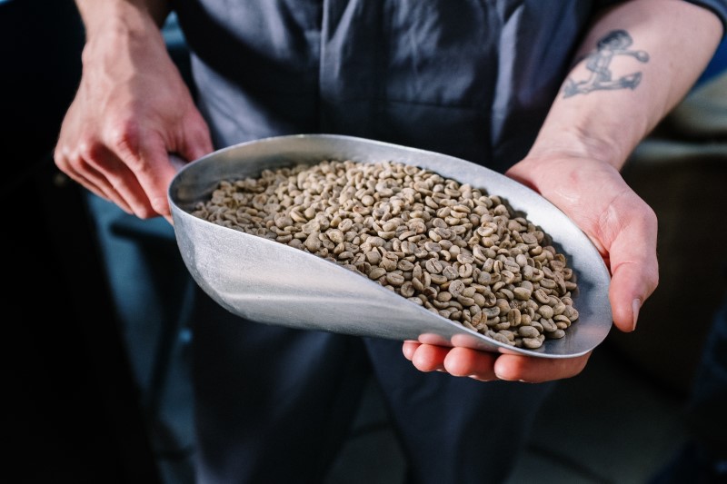 Person holding a large scoop of green coffee beans