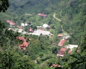 Aerial view of Mexican coffee farm