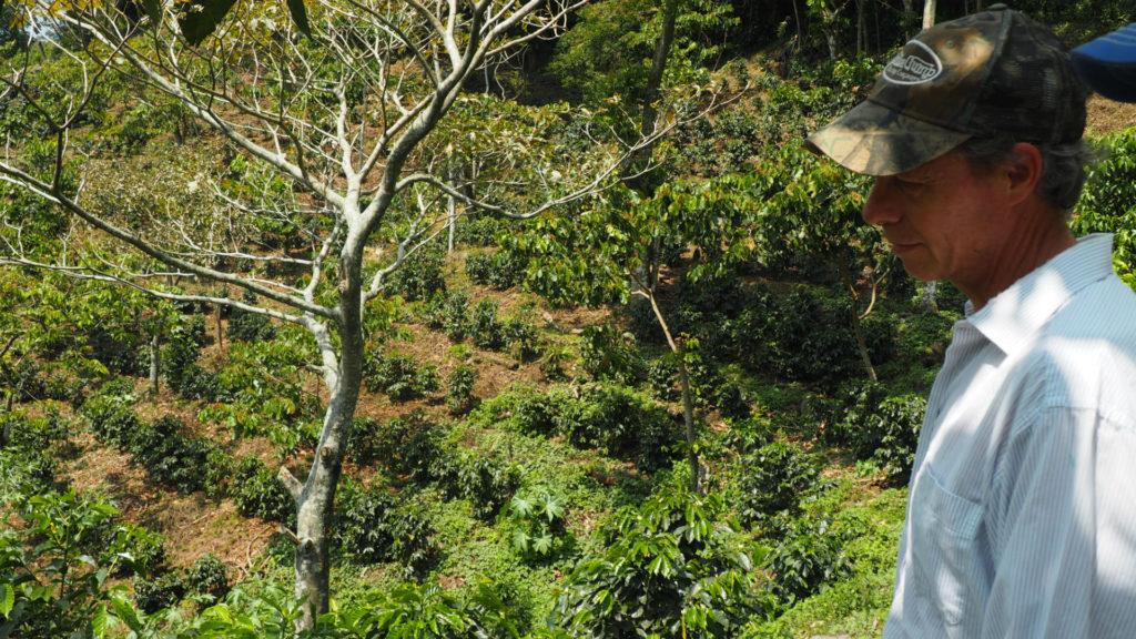 Man in front of coffee plants