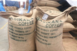 Ethiopian asikana burlap sacks of coffee